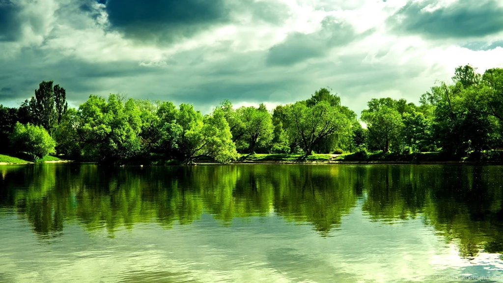 Wallpapers Green Forest Trees And Lake Hd Hq 2560x1440