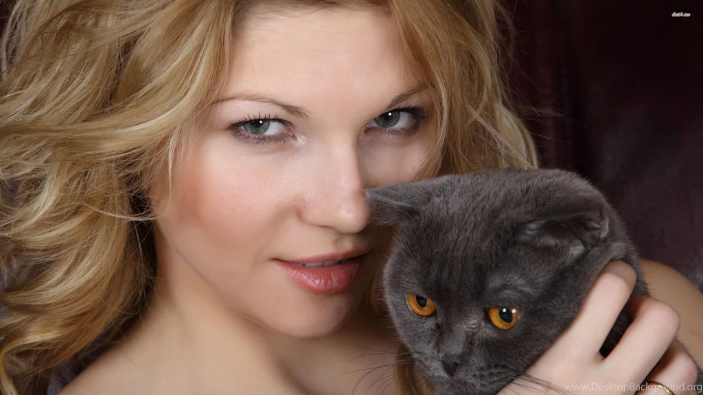 Blonde Girl With A Gray Cat Wallpapers   Girl Wallpapers