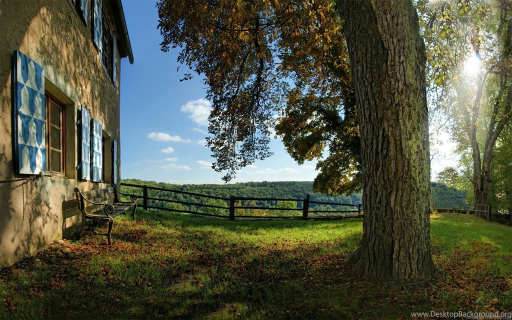The Tree In The Yard Wallpapers 715861