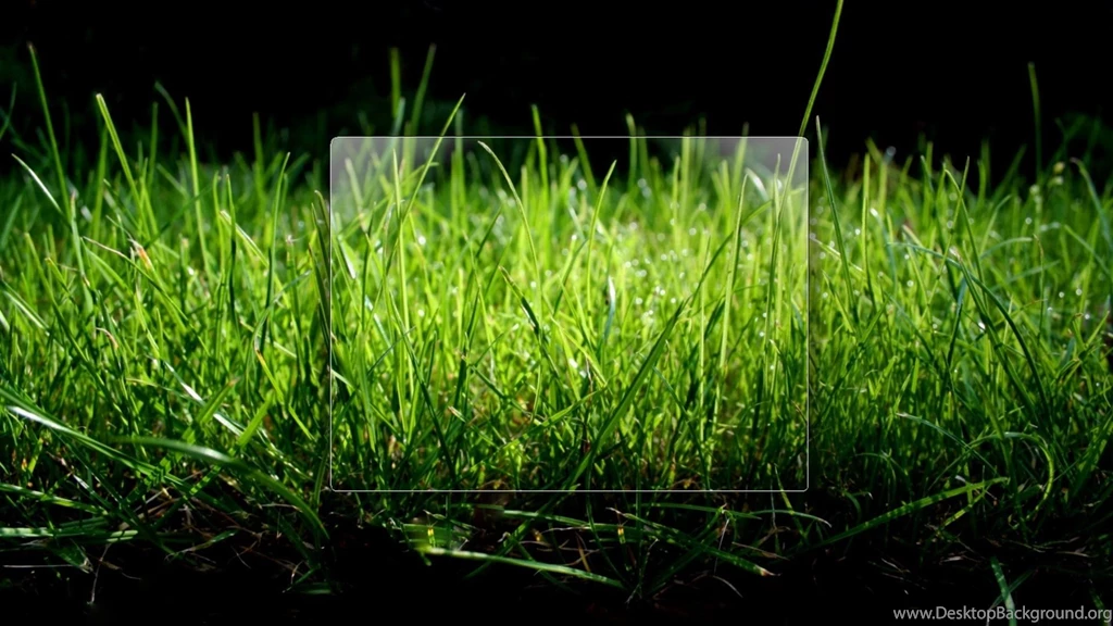 DeviantArt: More Like Win 7 Ultimate Grass Wallpapers By Blackboy993