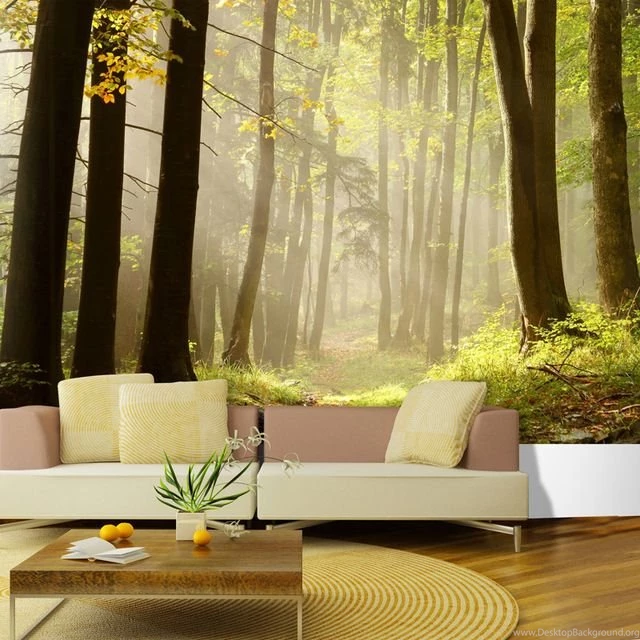 Custom Made Sunshine Forest Photo 3d Wallpapers 3d Wall Murals For ...