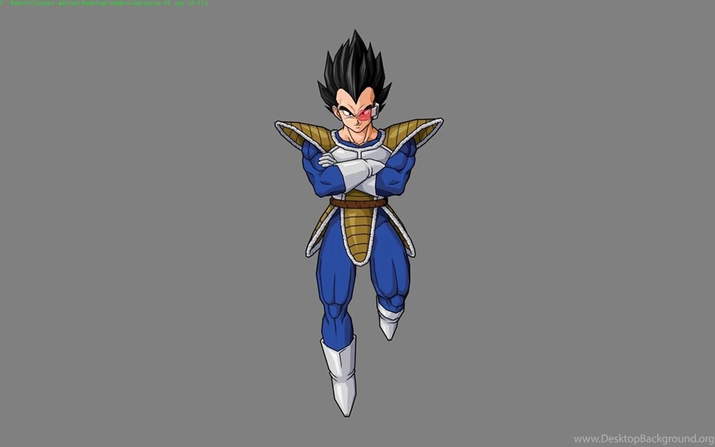 Dragon Ball Vegeta Wallpapers   28604