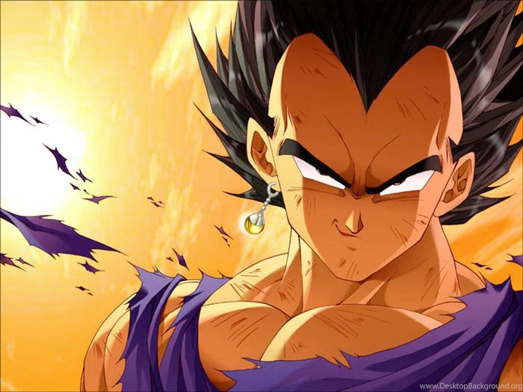 Gallery For Dbz Wallpapers Vegeta