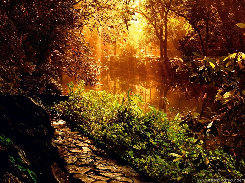 WINDOWS 10 NATURE WALLPAPER WSP010