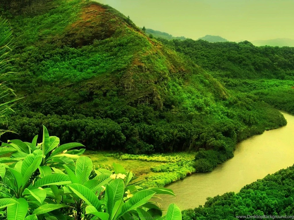 Nature Wallpapers High Resolution Green Wallpaper.