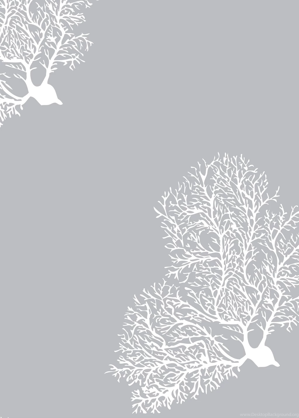 Designer Wallpapers \\ Cavern