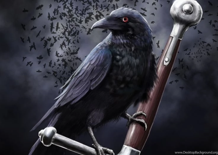 Raven Birds Art Wallpapers