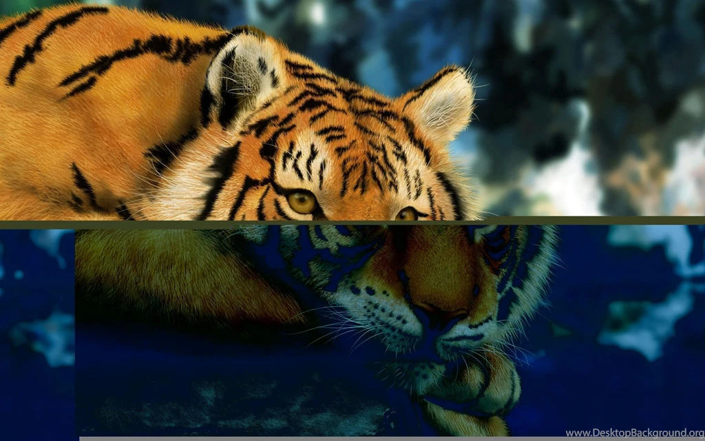 Mature Wallpapers   Wallpapers Cave