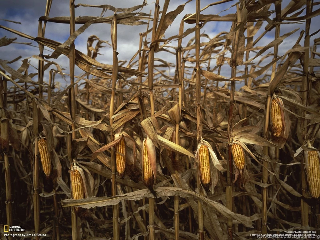 Photography   Desktop Wallpapers   National Geographic Magazine