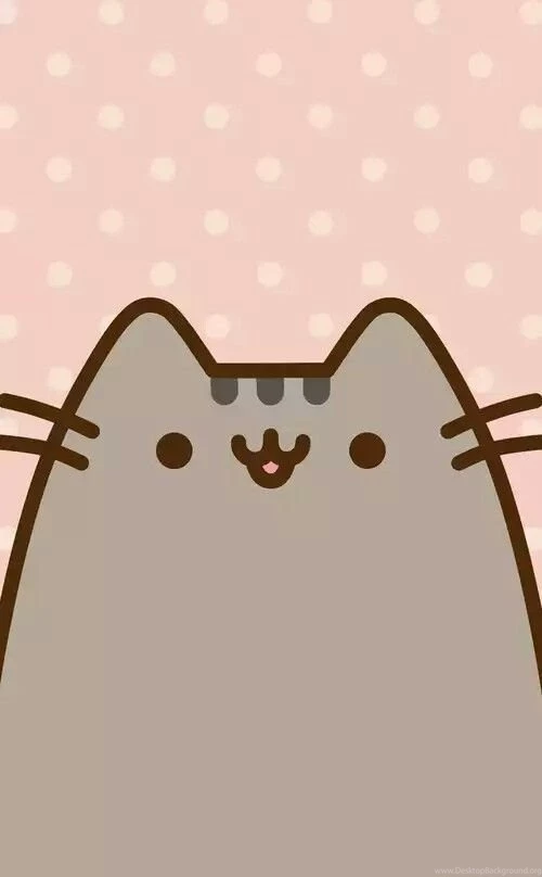 Cat Wallpapers On Pinterest