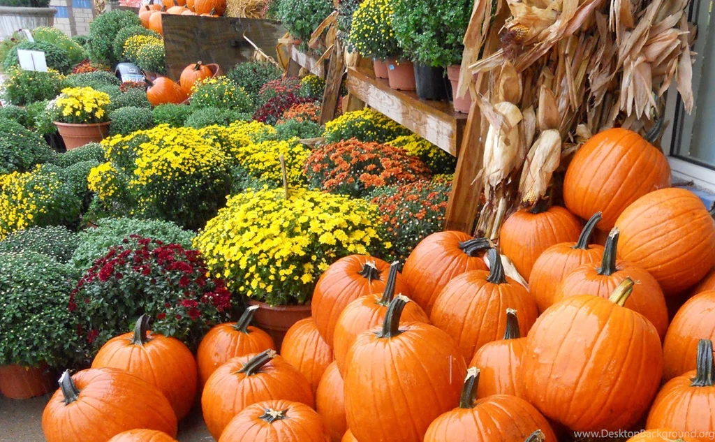 Uncategorized – Ask Bubbles, The Introvert