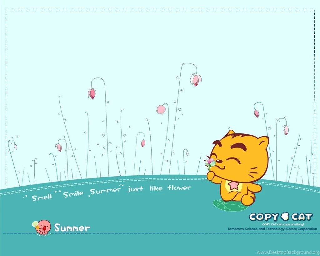 Copy Cat Wallpapers HD Wallpapers 74081