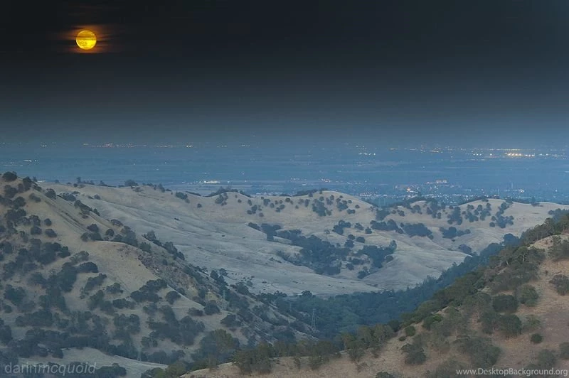 Darin McQuoid Photography