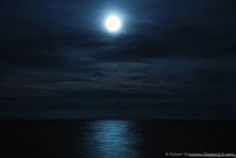 Royalty For A Week, And Shameless The Rest Of The Time (Volume IV ...