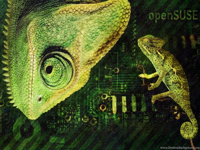 Browsing Wallpapers On DeviantArt
