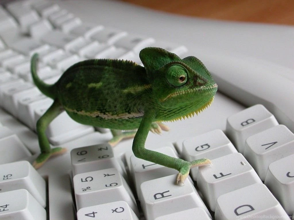 FunTrickz: Download Suse Linux Stunning Wallpapers Free