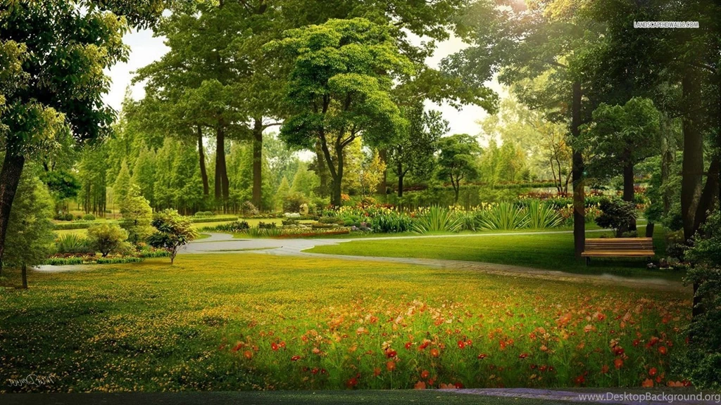 Morning In The Park Wallpapers