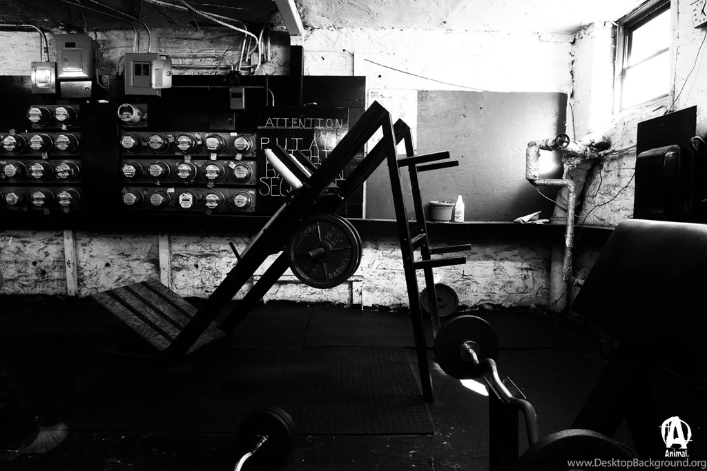 Academia On Pinterest