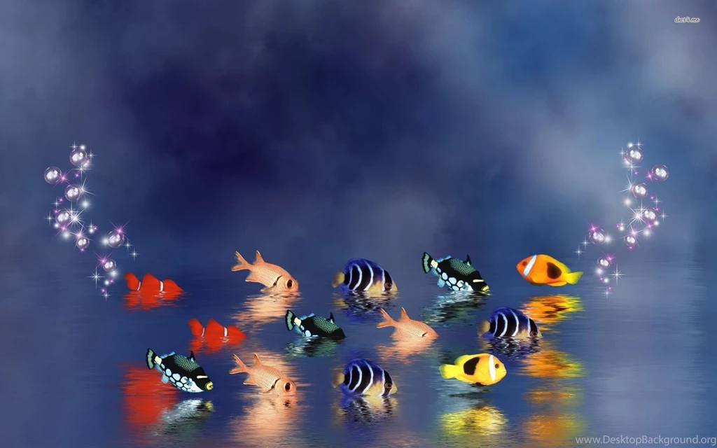 Fish Wallpapers For Desktop For Free DR5