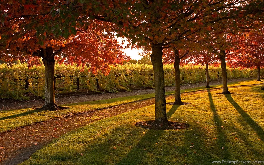 Park Computer Wallpapers, Desktop Backgrounds