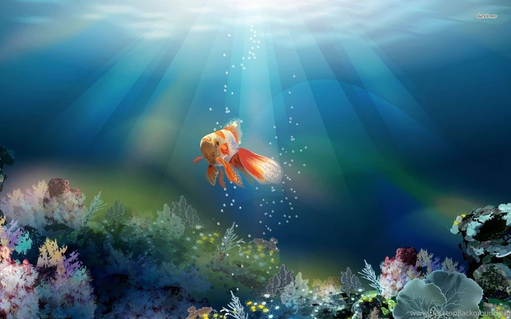 Gold Fish Wallpapers GHI6