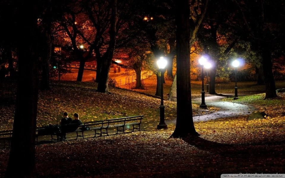 Park At Night HD Desktop Wallpapers : High Definition : Fullscreen ...