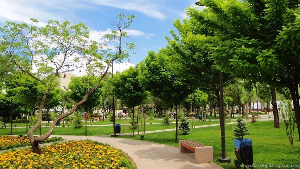 Youth Park >> HD Wallpaper, Get It Now!