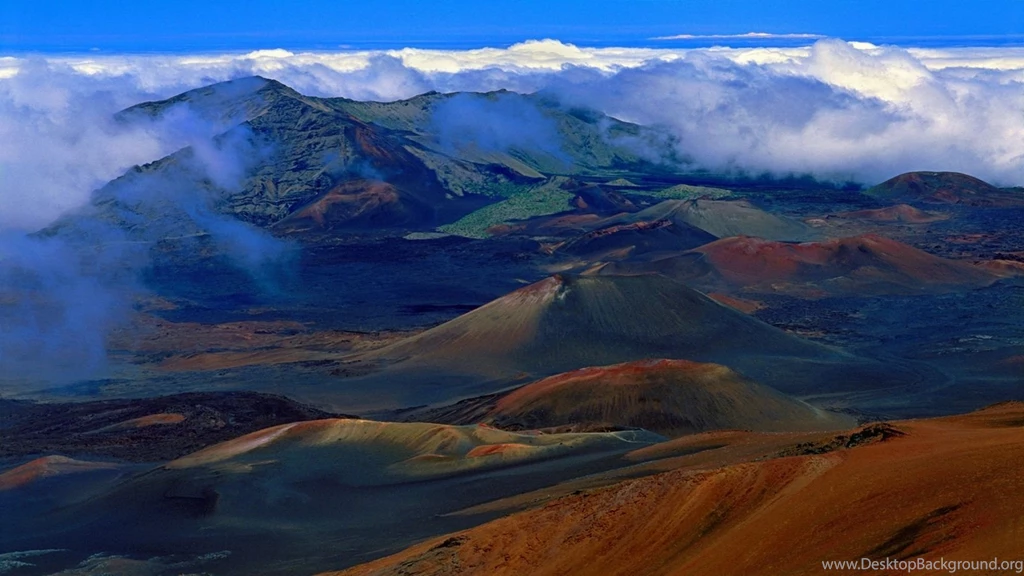 Sweetcouple: January 2013