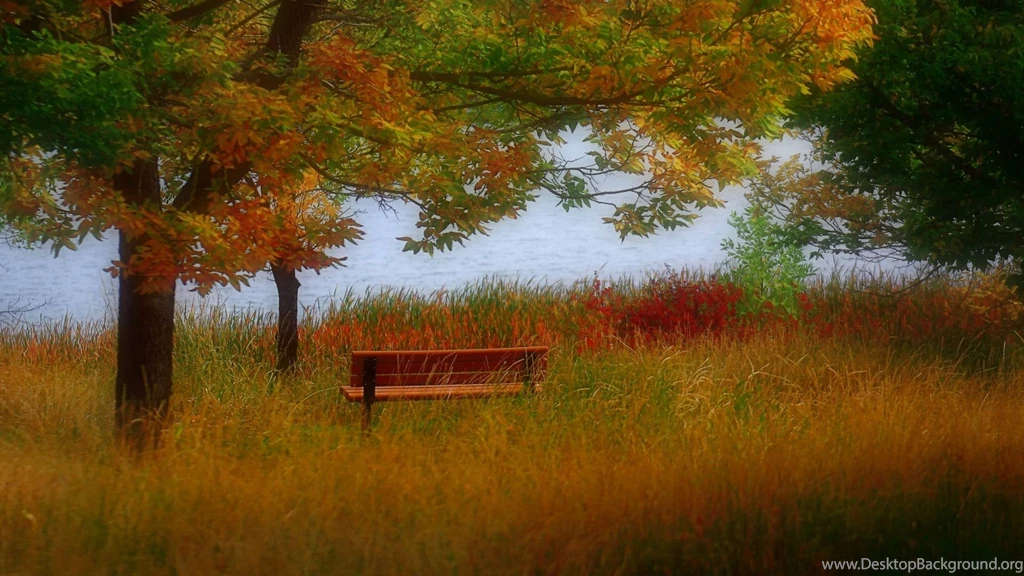 Park, Autumn, 1920x1080 HD Wallpapers And FREE Stock Photo