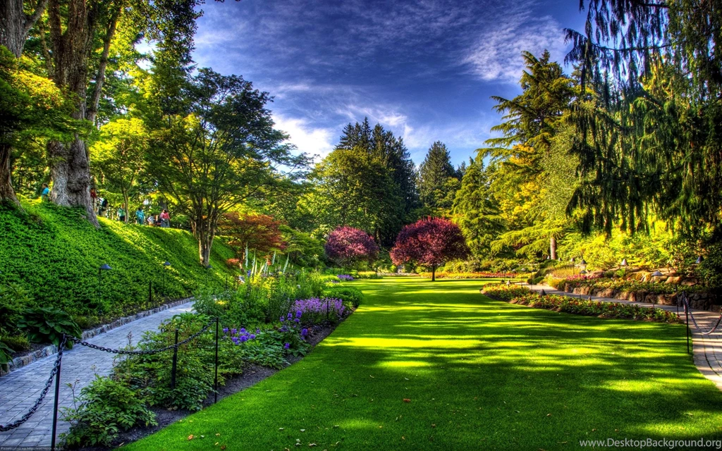 SPRING PARK WALLPAPER   (