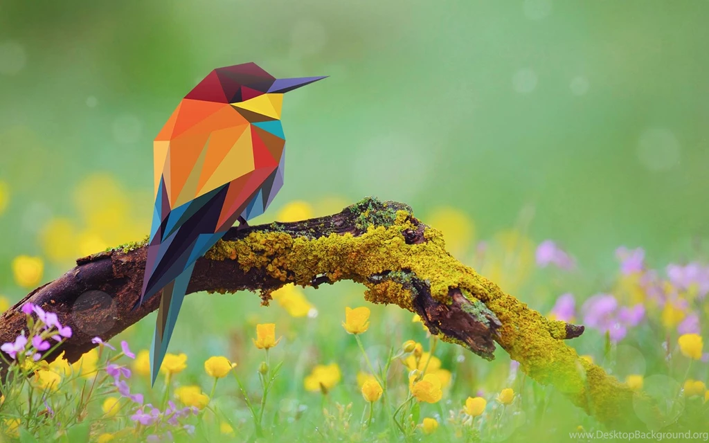 2D Low Poly Bird Art Wallpapers