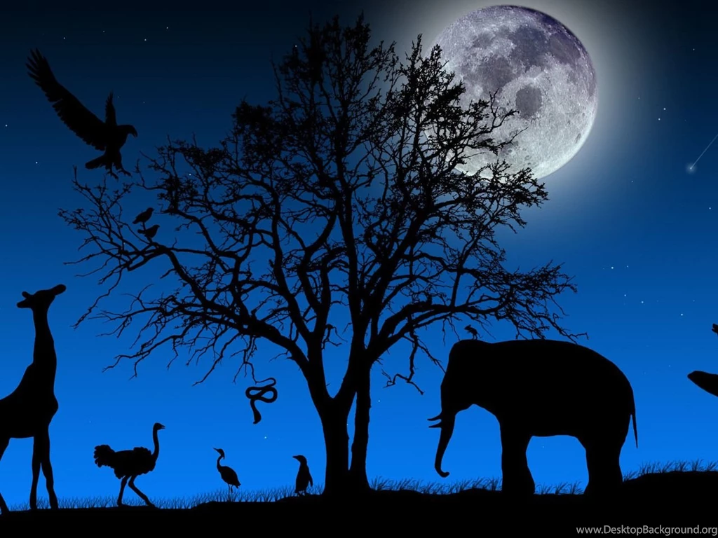 Wallpapers Pack – Nature2