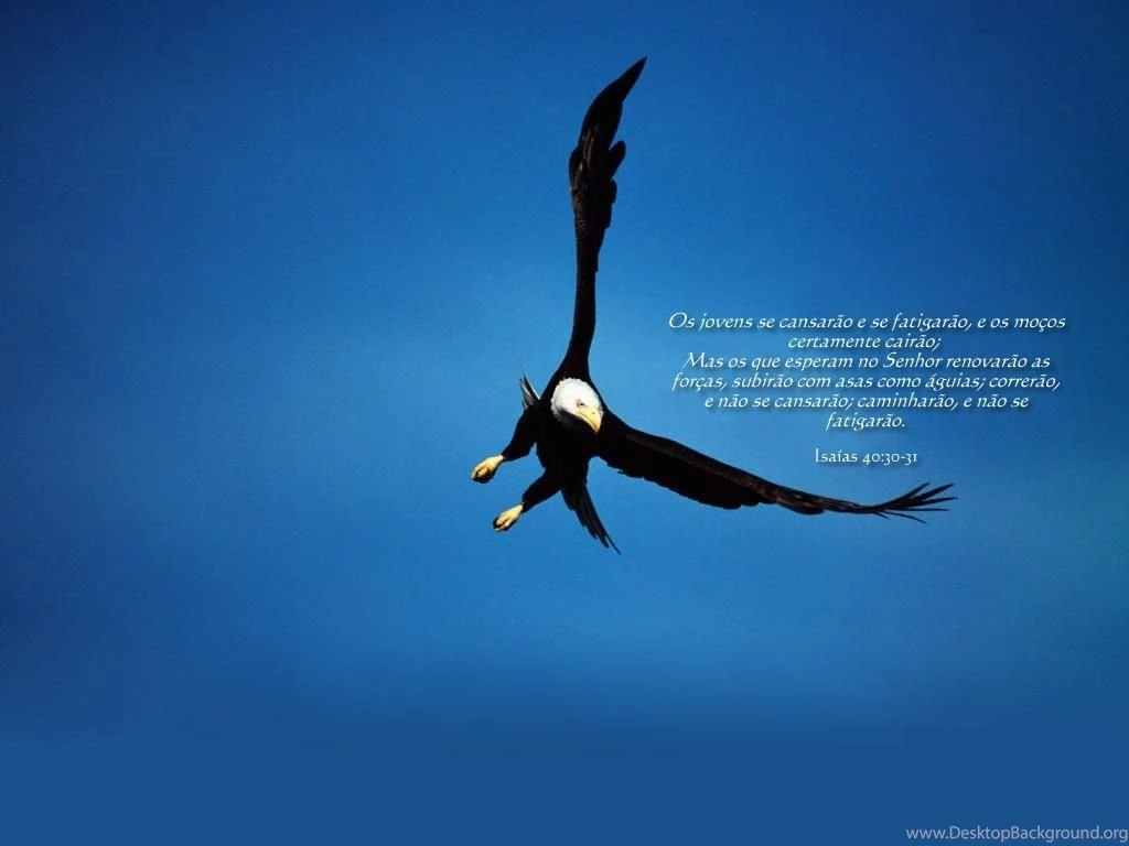 Pic New Posts: B Coalition Wallpapers