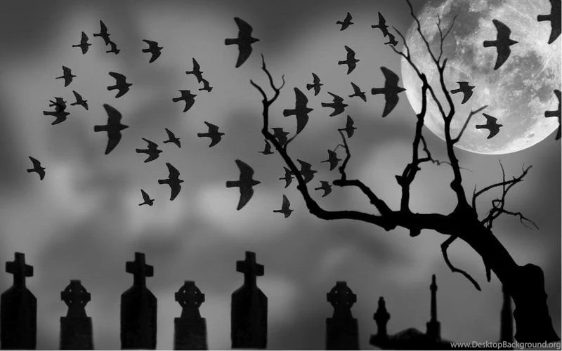 Spooky Backgrounds By Lukemania On DeviantArt