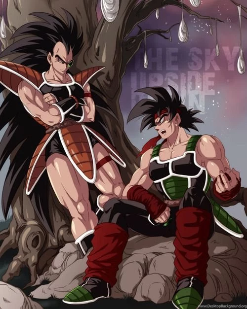 DBZ Raditz And Bardock