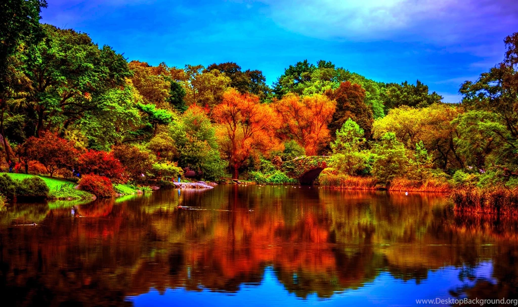 Hd Nature Images, Organic, Fresh Air, Widescreen Wallpapers ...