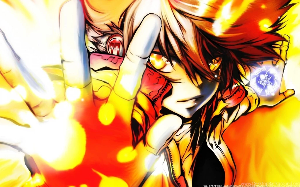 Wallpapers Katekyo Hitman Reborn! Taringa!