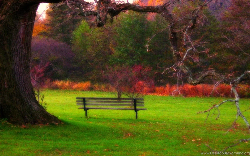 Peaceful Moment (