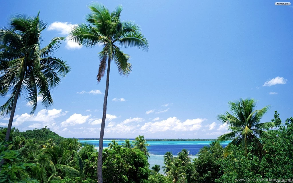 YouWall Tahiti Wallpapers Wallpaper,wallpapers,free Wallpapers ...
