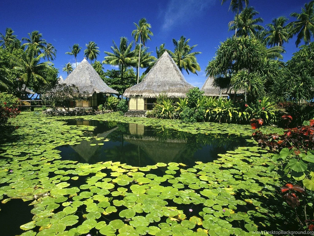 Tahiti HD Wallpapers And Backgrounds
