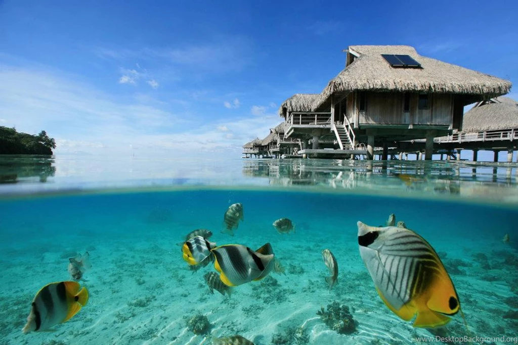 Download Free HQ Bora Bora Wallpapers Hqwallbase.pw