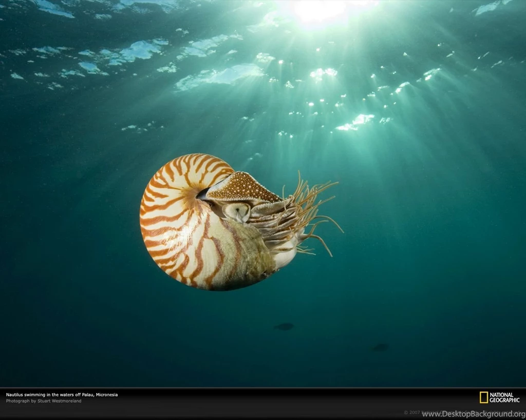 1242_1280x1024 wallpaper cb1425507629.jpg