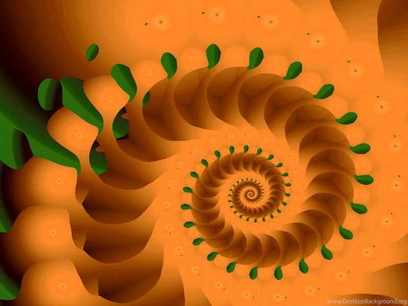 Fractal Art By Vicky, Earth Nautilus Wallpapers