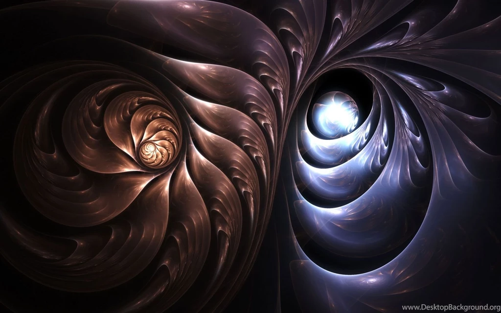 Nautilus Abstract Wallpapers (24283)   Wallpaperesque