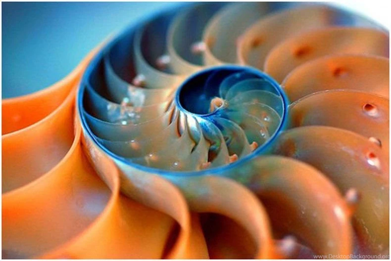 Thursday Salute To Originals: Patterns – More Than Just Wallpapers ...