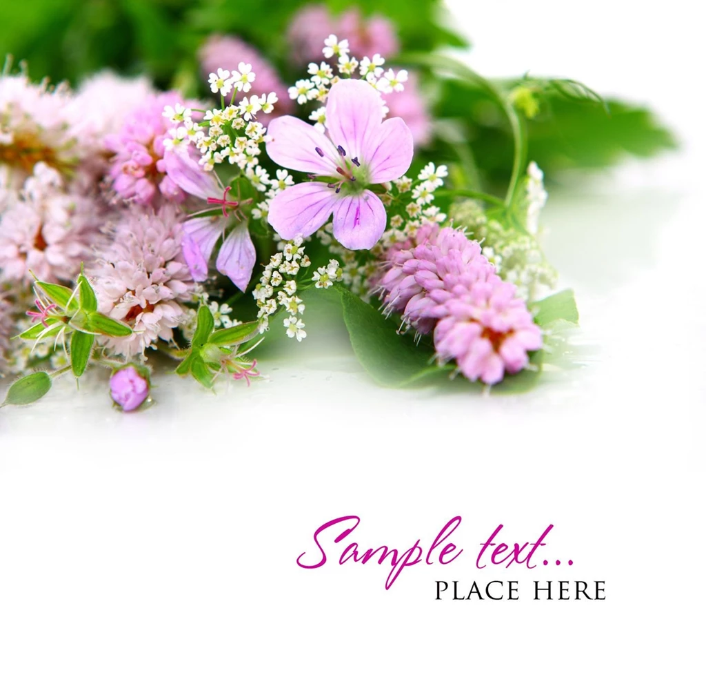 Floral Wallpapers 31086 Flowers Photo Flowers