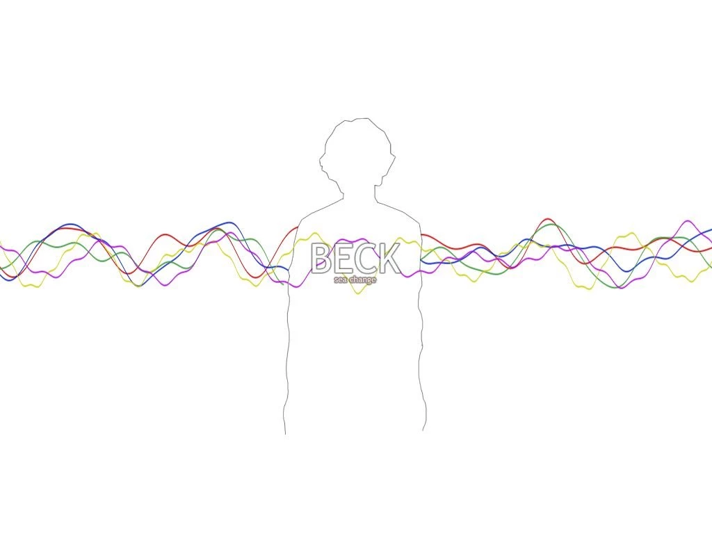 Beck   Beck Wallpapers (548511)   Fanpop