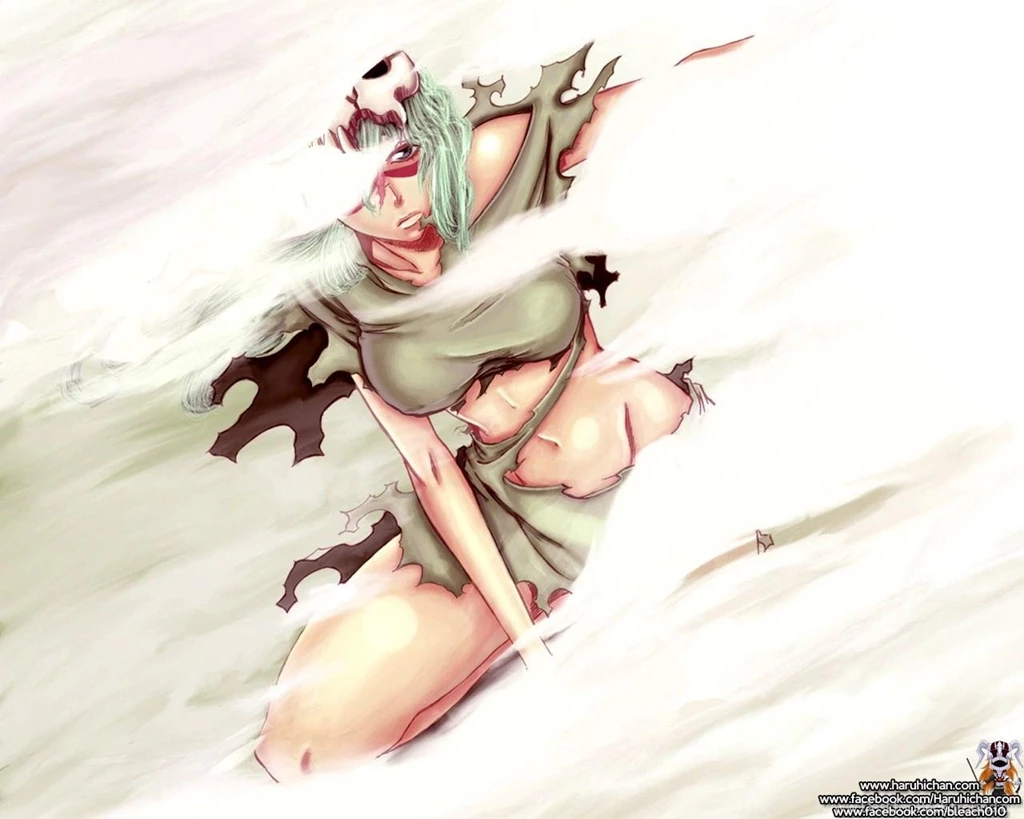 NEL CHAN   Neliel Tu Oderschvank Wallpapers (33781799)   Fanpop