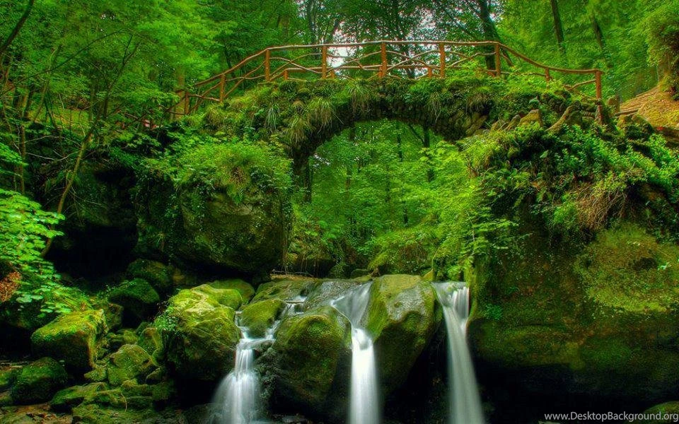 Top 10 Nature Wallpapers Desktop Backgrounds