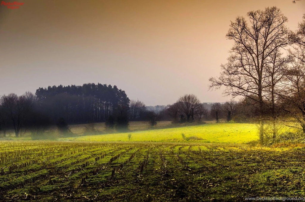 Top Naturly HD New Wallpapers 2014
